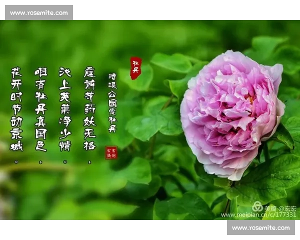 国色天香展芳华华夏风韵绽时代风采新篇