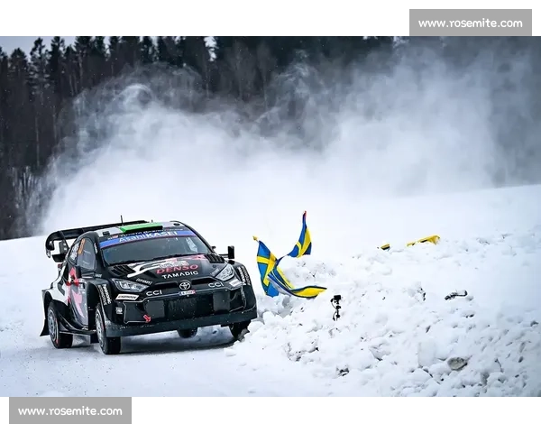 让人窒息的拉力赛！WRC积分榜争夺白热化，胜负难料