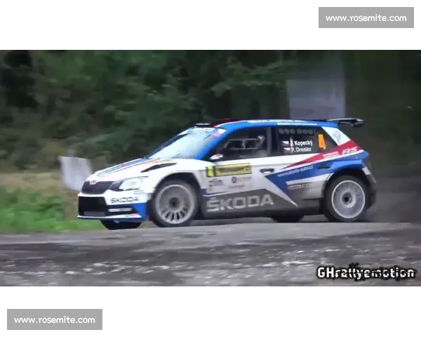 期待爆棚！WRC世界拉力赛新赛程，又是一场速度的较量