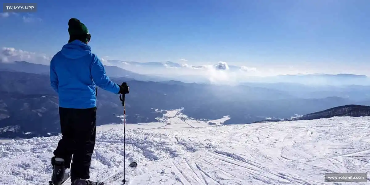 我们的品牌价值